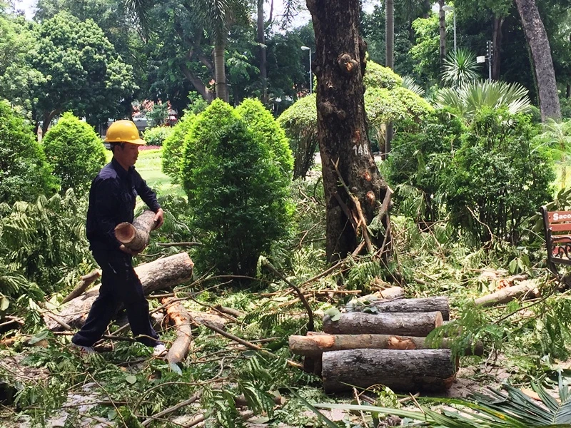Lực lượng chức năng tiến hành giải phóng hiện trường.
